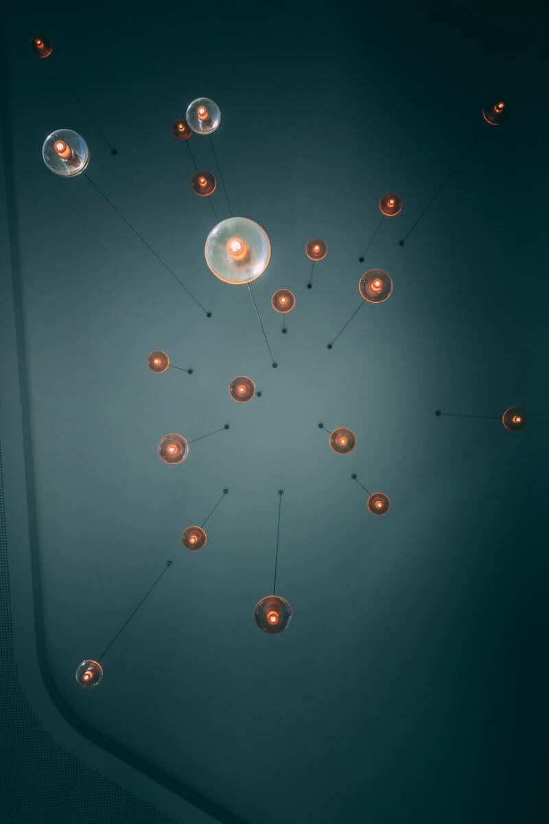 Bulbs
