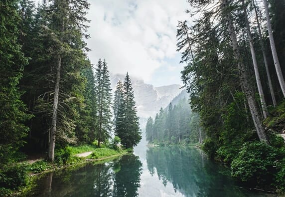 Forest River