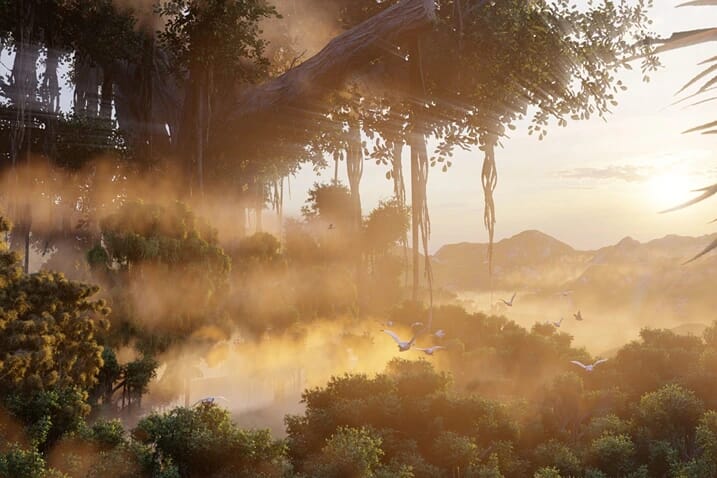 Forest Sunset