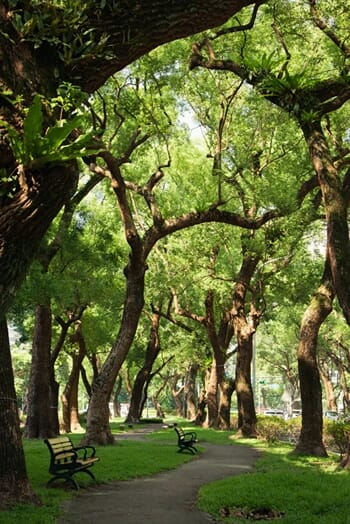 Park