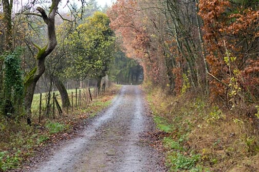 Random Road