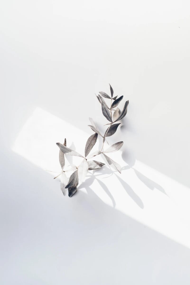 Table Leafs