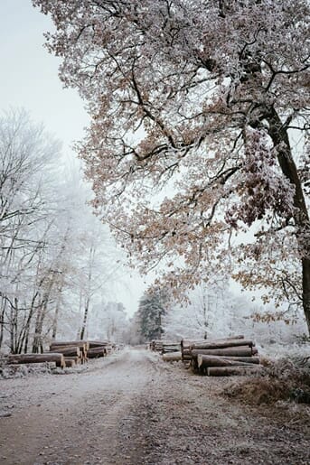 Winter Farm